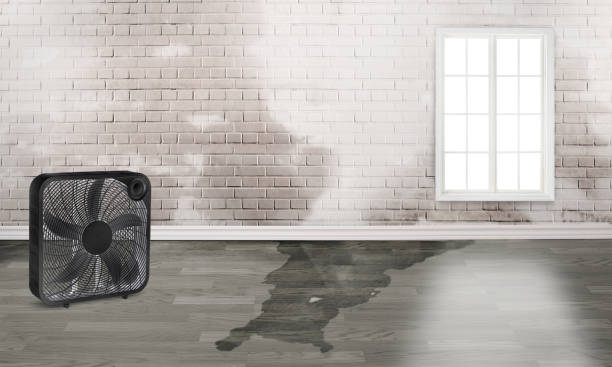 Cotter, AR Water damage restoration Company
