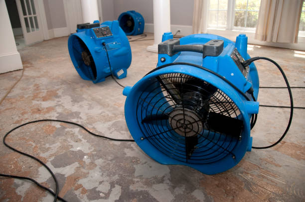 Best Water damage cleanup near me  in Cotter, AR