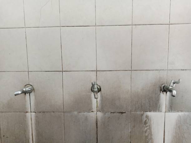 Best Residential water damage restoration  in Cotter, AR