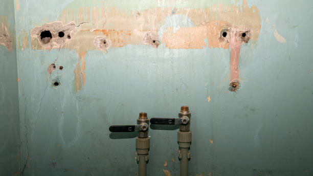 Best Fire Damage Restoration  in Cotter, AR